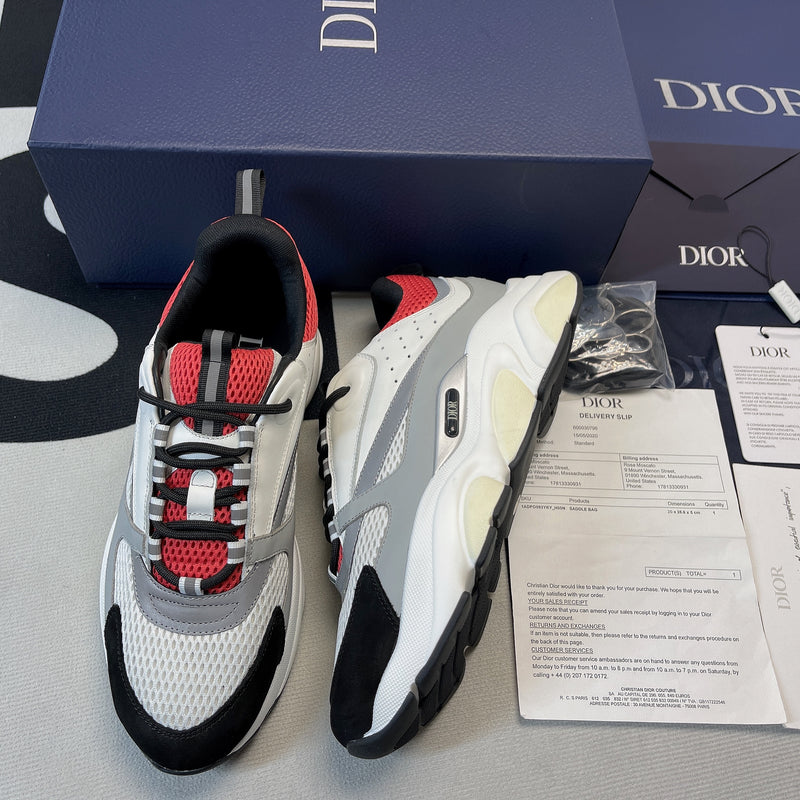 Dior B22