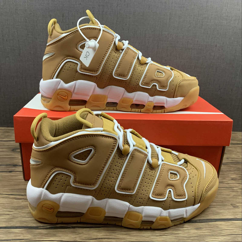 Air More Uptempo