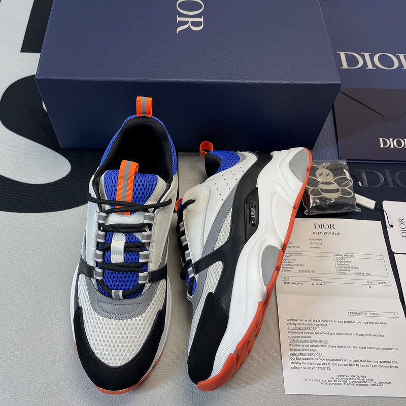 Dior B22