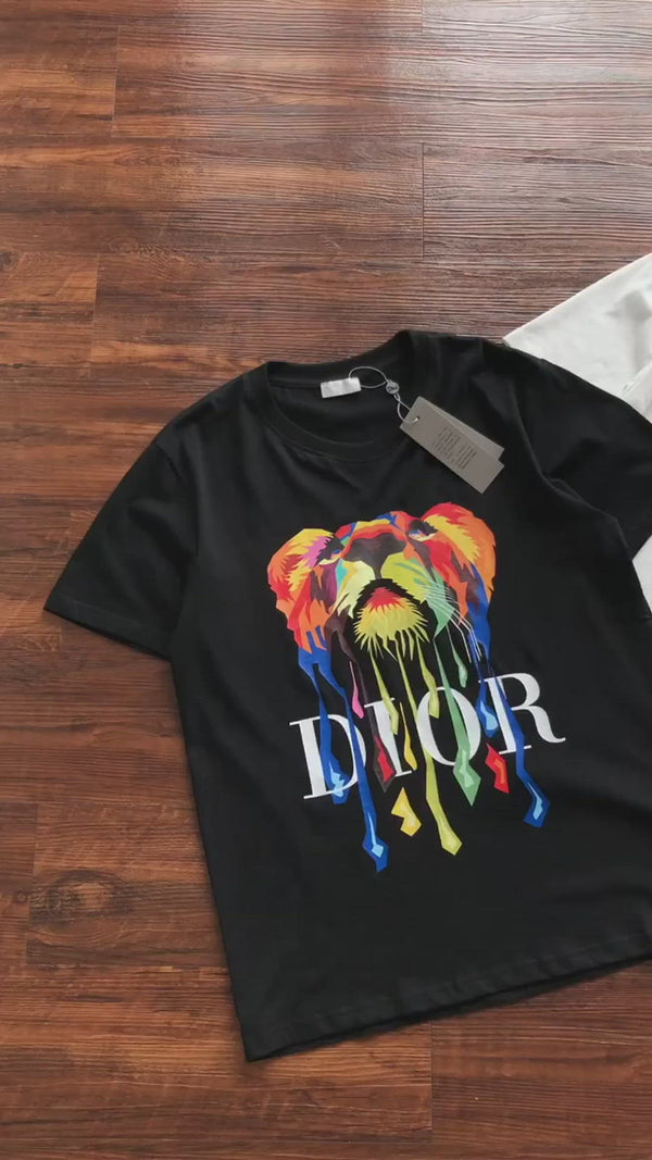 Camiseta Dior