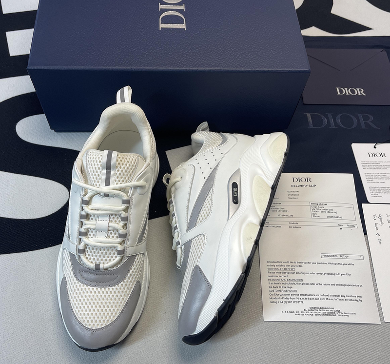 Dior B22